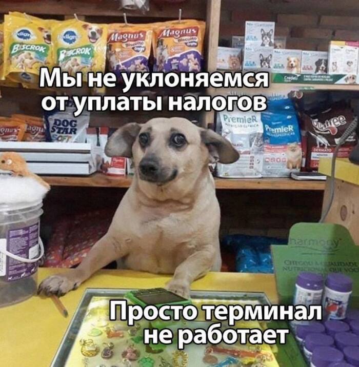   ,   , , , , 