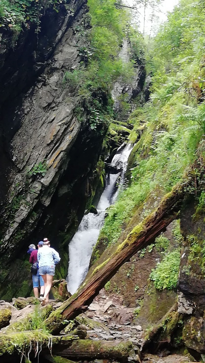 ����� ���� Artem Semechkov