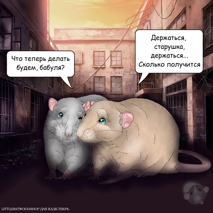     ,  , 