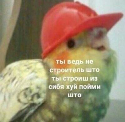 � "�����", ������� ��������. ����� ���������� ����? �������� �� �������� �����