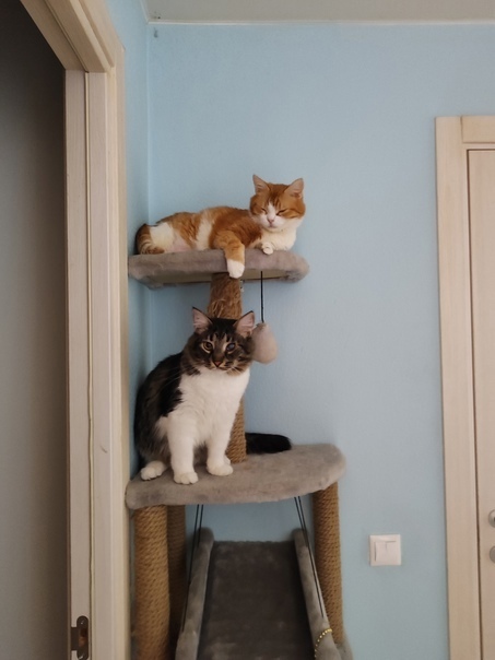 ��� �� �������� ������