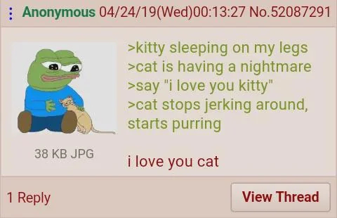 ���� ����� ���� �����