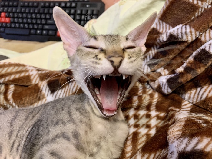 ���� � ��������, ������!