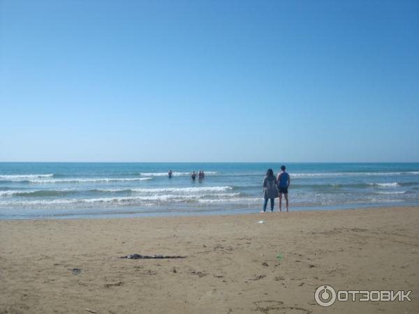 ����� � ���� ������ ����� �������