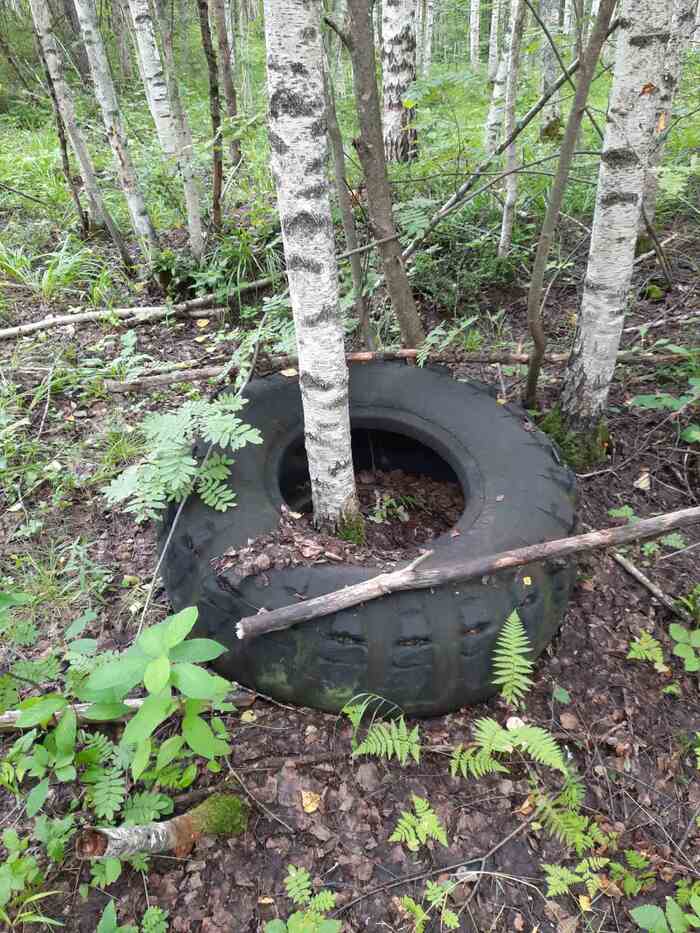 ����� 3 �� �� ��������� ������) 