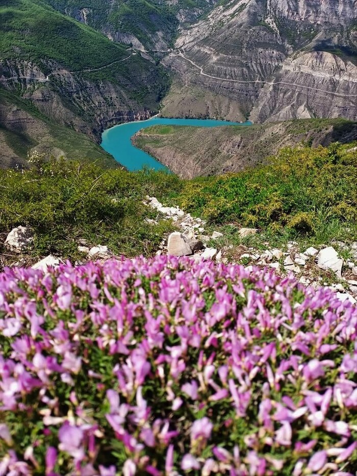 Сулакский каньон. Фото: <a href="https://pikabu.ru/story/chto_nelzya_propustit_v_dagestane_11672334?u=https%3A%2F%2Fvk.com%2Fbodulka&t=%D0%98%D1%80%D0%B8%D0%BD%D0%B0%20%D0%91%D0%BE%D0%B4%D1%83%D0%BB%D0%B8%D0%BD%D0%B0%20%7C%20%D0%92%D0%9A%D0%BE%D0%BD%D1%82%D0%B0%D0%BA%D1%82%D0%B5&h=122d00ca4a836f563107384d53d809445ccd1829" title="https://vk.com/bodulka" target="_blank" rel="nofollow noopener">Ирина Бодулина | ВКонтакте</a>