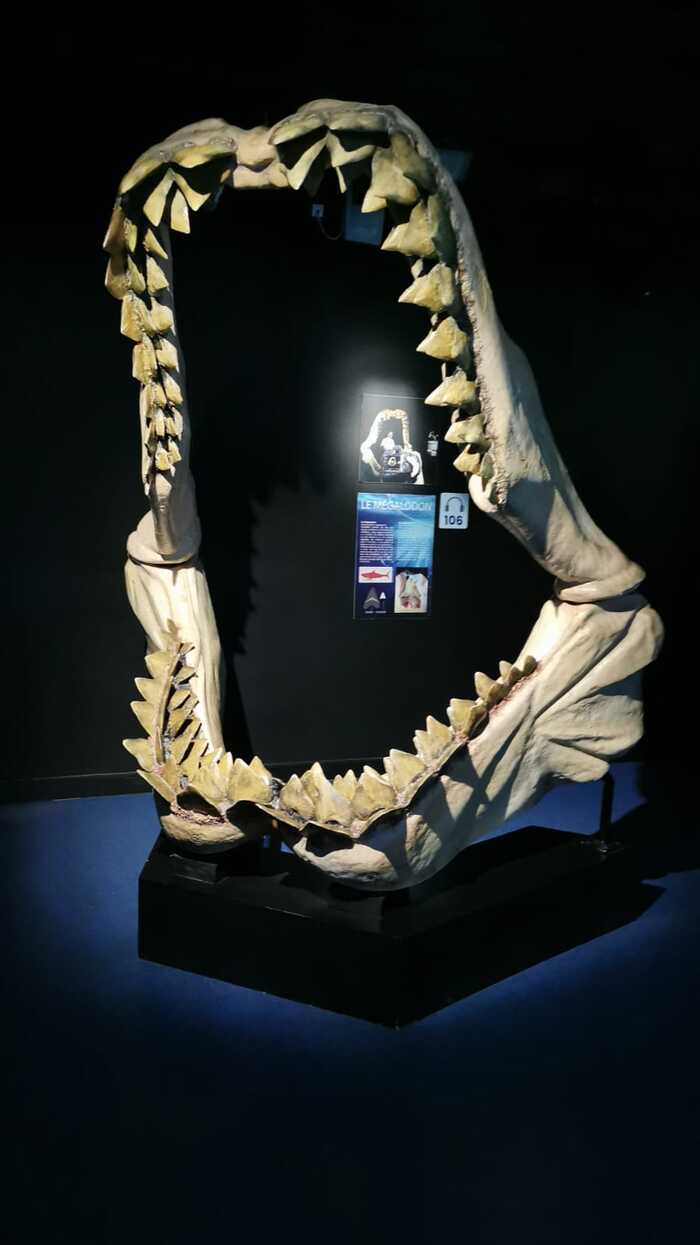 �� ������ �����������, ������ �� ������� ���� ���� ����� 🤩