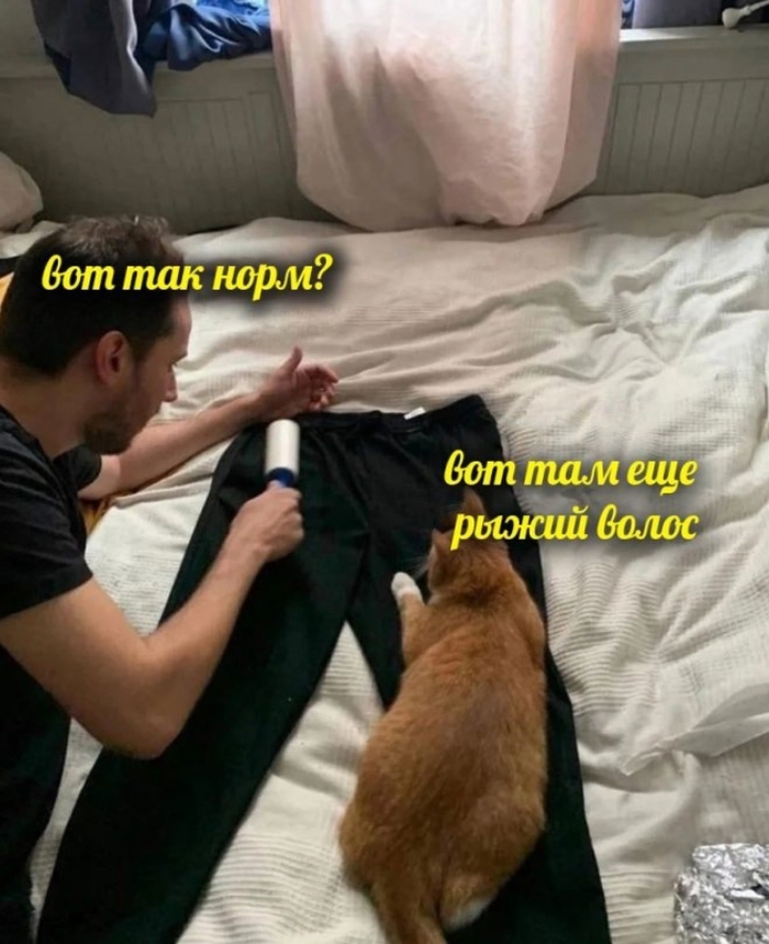 ...  , , , , ,  