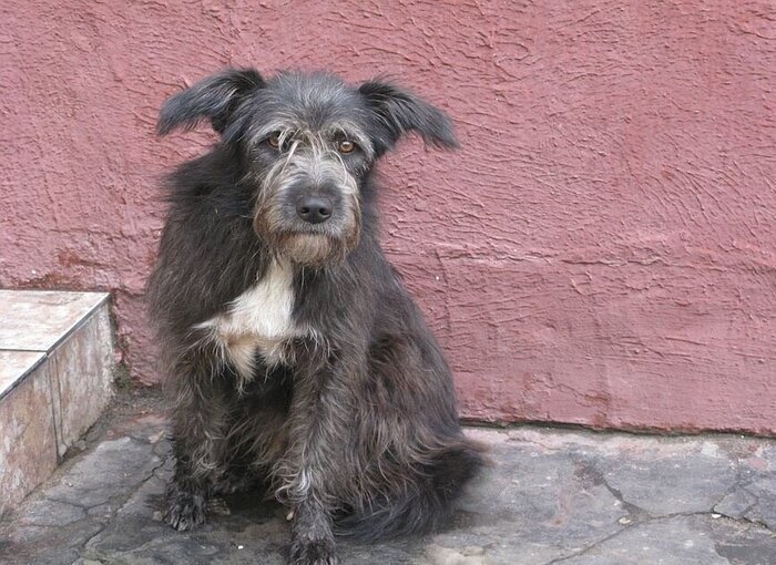 Ответ на пост «Она не кусается»