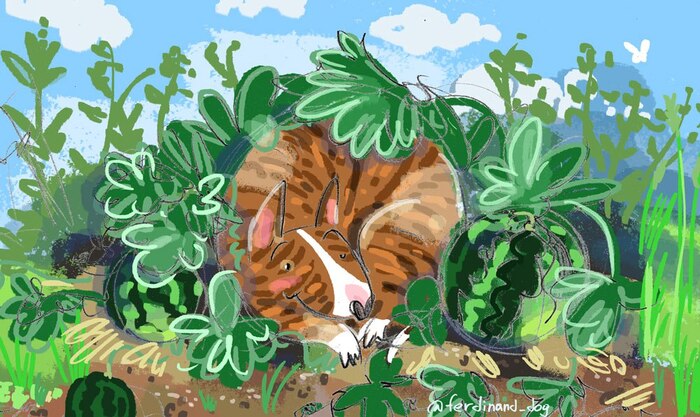 Вот какой арбузик вырос!