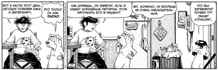 Баки едет к ветеринару №2/5