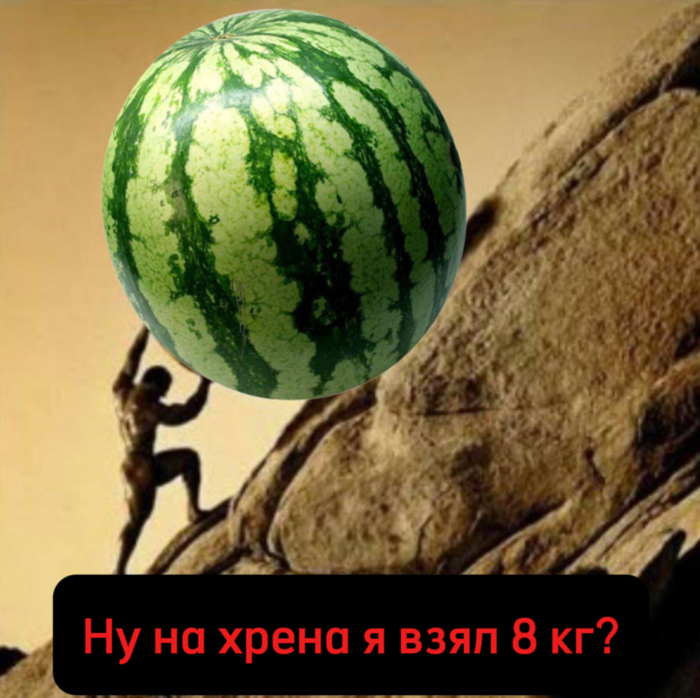   ,   , , , , Telegram ()