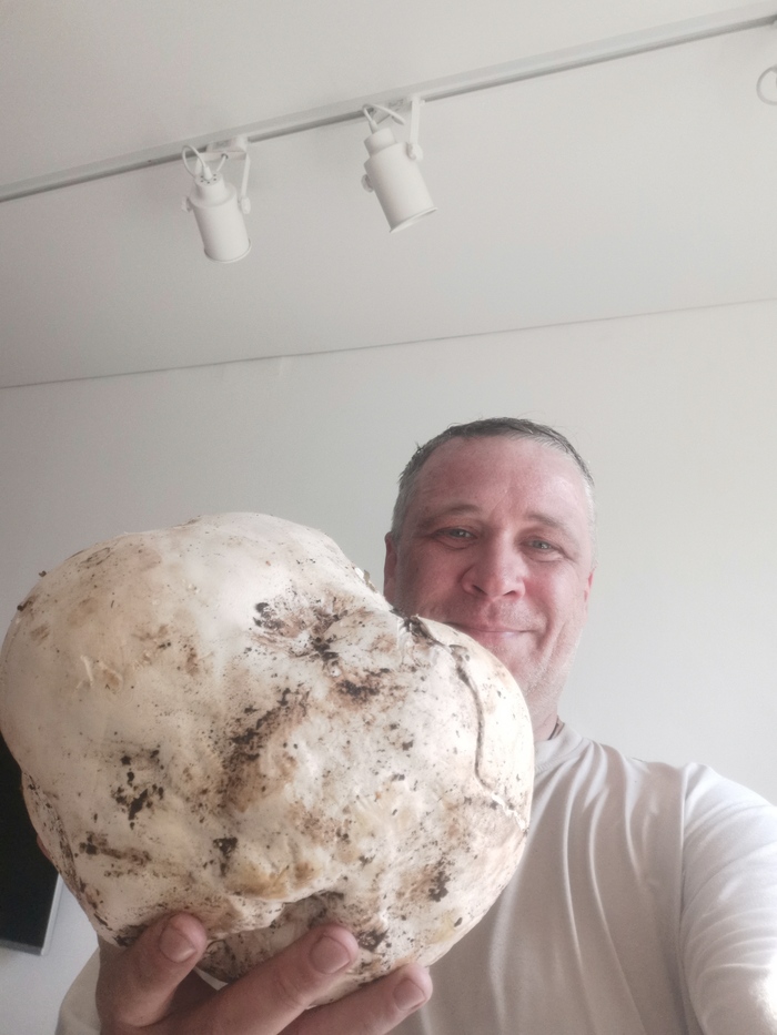 Грибная экзотика