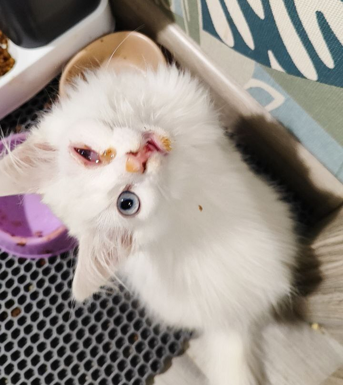 ��� �� �� ������� ������� �������