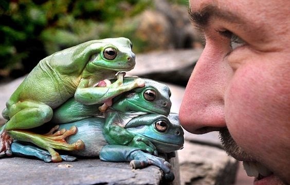 Утро доброе, чуваки!