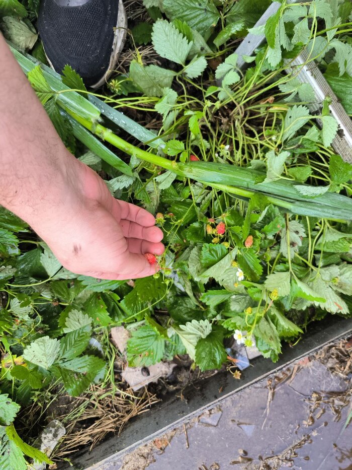 ��������� ����, ������ ��������� � ������� � ������ ������� ���������� �� ���� 