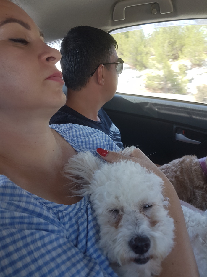 ��� � ����� ����� ����� � �����.