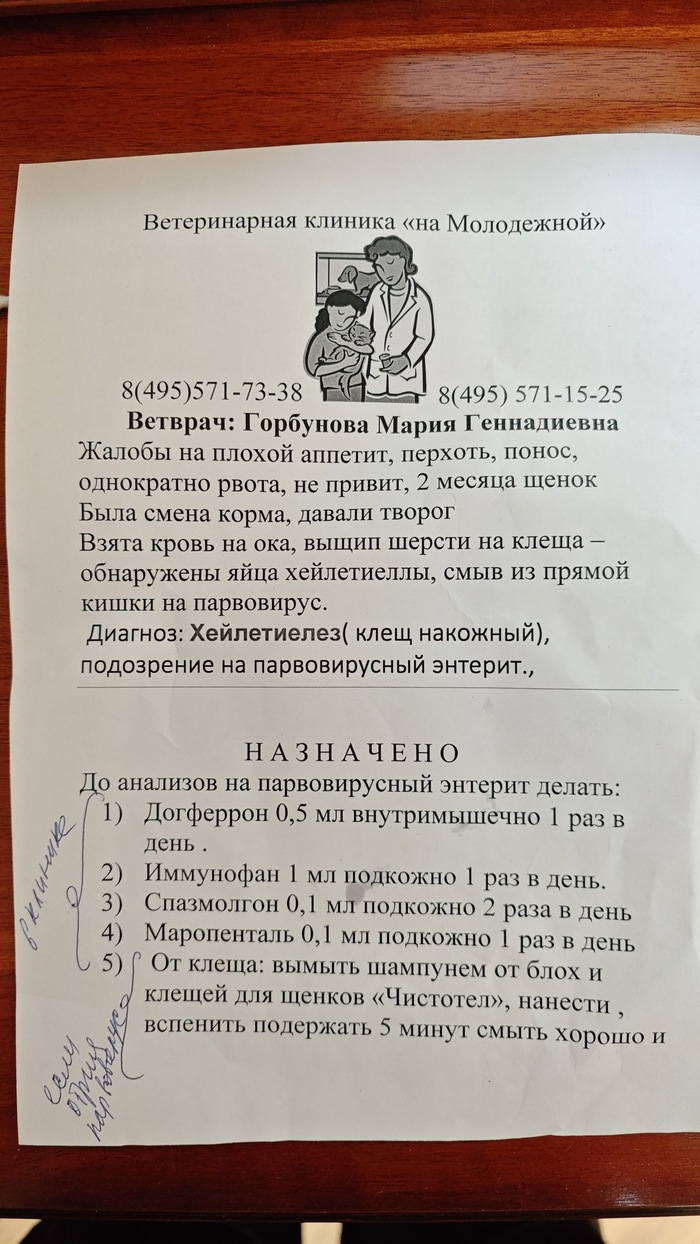 <!--noindex--><a href="https://pikabu.ru/story/moshennitsa_prodali_smertelno_bolnogo_maltipu_11681734?u=https%3A%2F%2Fwww.avito.ru%2Fuser%2F2116f757a7ebb0de0852e27f23ecc98e%2Fprofile%3Fsrc%3Dsharing&t=https%3A%2F%2Fwww.avito.ru%2Fuser%2F2116f757a7ebb0de0852e27f23ecc98e%2Fp...&h=d361da1504757d389896cffc113d85fb1887e773" title="https://www.avito.ru/user/2116f757a7ebb0de0852e27f23ecc98e/profile?src=sharing" target="_blank" rel="nofollow noopener">https://www.avito.ru/user/2116f757a7ebb0de0852e27f23ecc98e/p...</a><!--/noindex--> ������� ������� ����� �� ����������� �����������