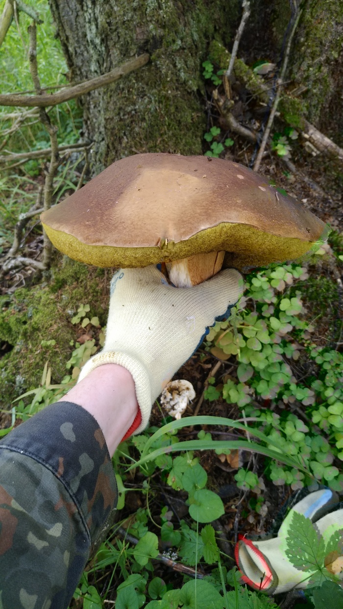 Можно прятаться от дождя)