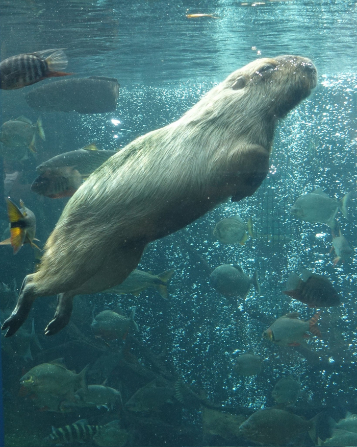 ������ ���������� :3