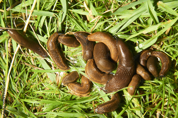 Сейчас бы валяться в траве под лучами летнего солнышка в компании друзей, а не идти на работу.