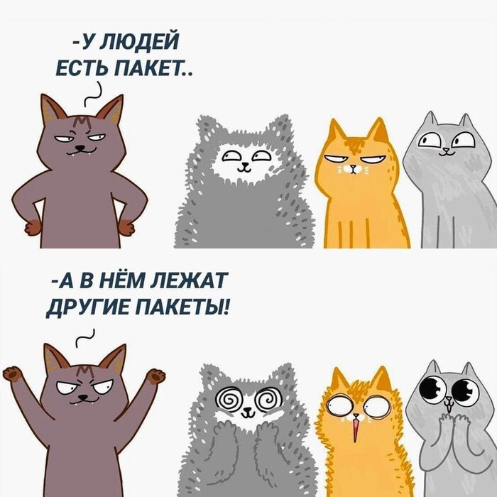  -      : ,   , ,  