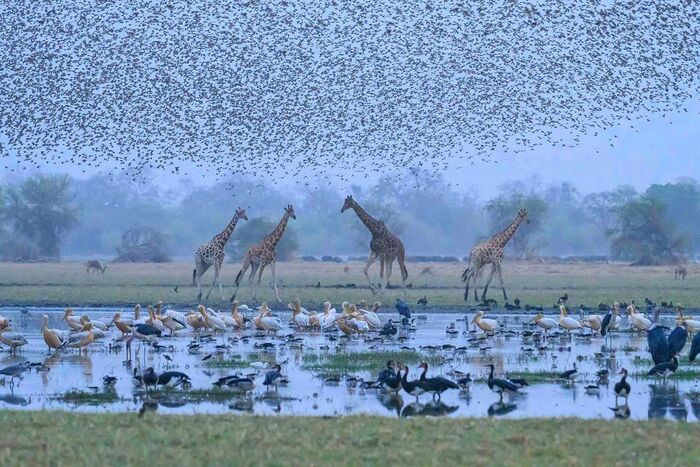 У озера в Чаде