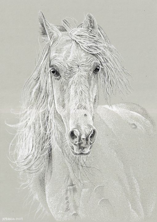  Dotwork, , 
