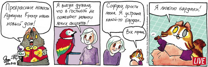 Котейкины Новости от 10.08.2024