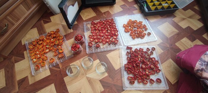 Вяленые томаты 2024