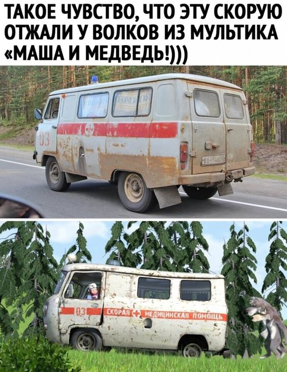 ...или за рулем те самые волки