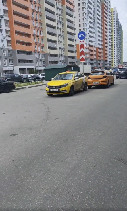 ���� ����� ���������