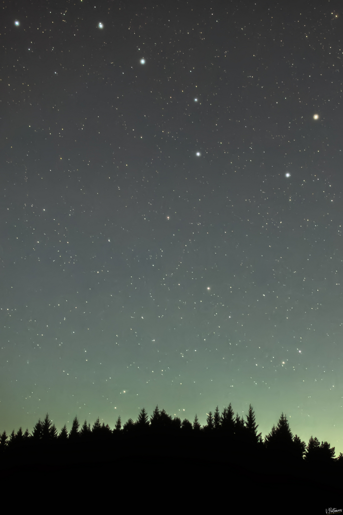 Большая Медведица