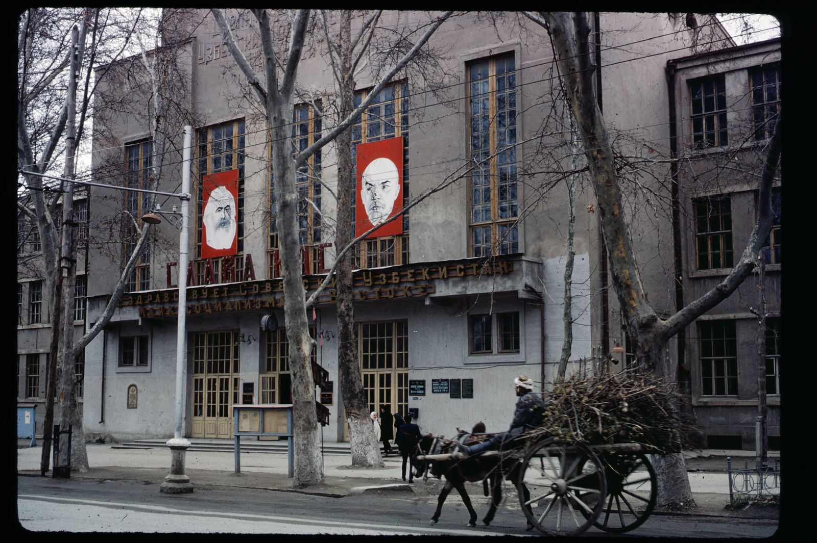 Американец Френсис В СССР. Самарканд 1965 год. | Пикабу