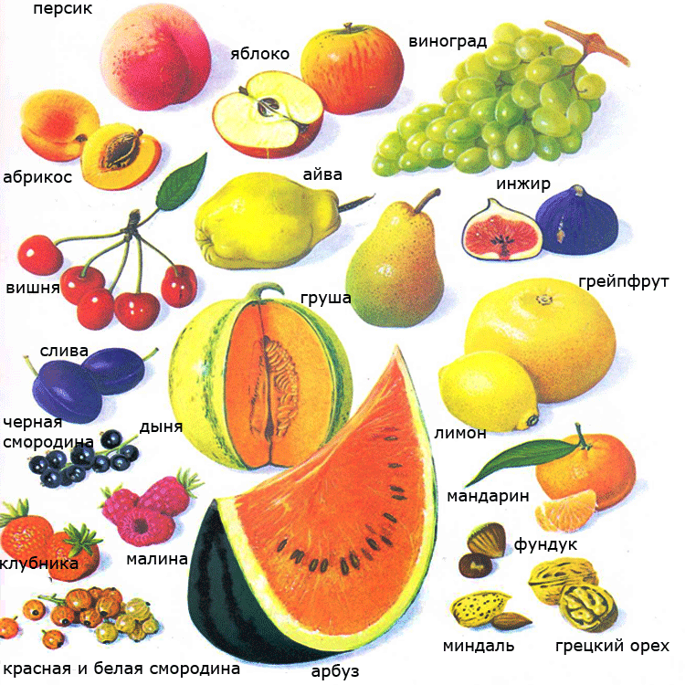 что относится к фруктам
