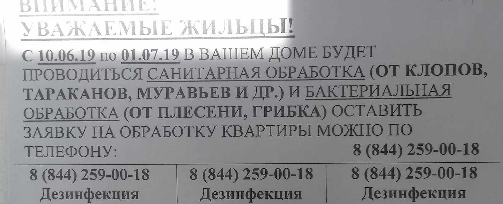 Нет тараканов- тогда мы идём к вам. | Пикабу