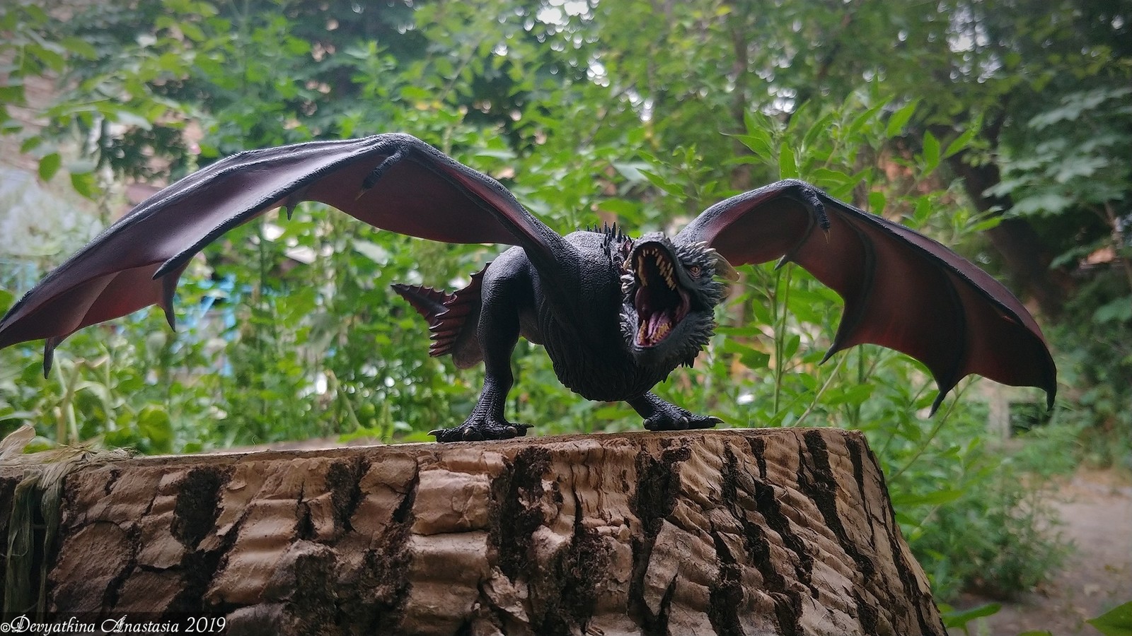 Drogon | Пикабу