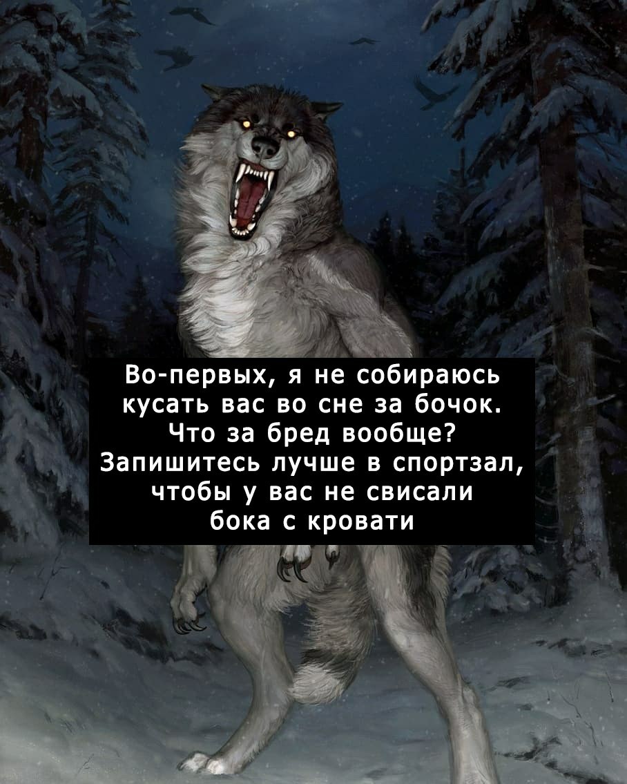 Мой бывший зверь тебе не сбежать. Цитаты волка. Фразы Волков. Цитаты волка смешные. Смешные высказывания про Волков.