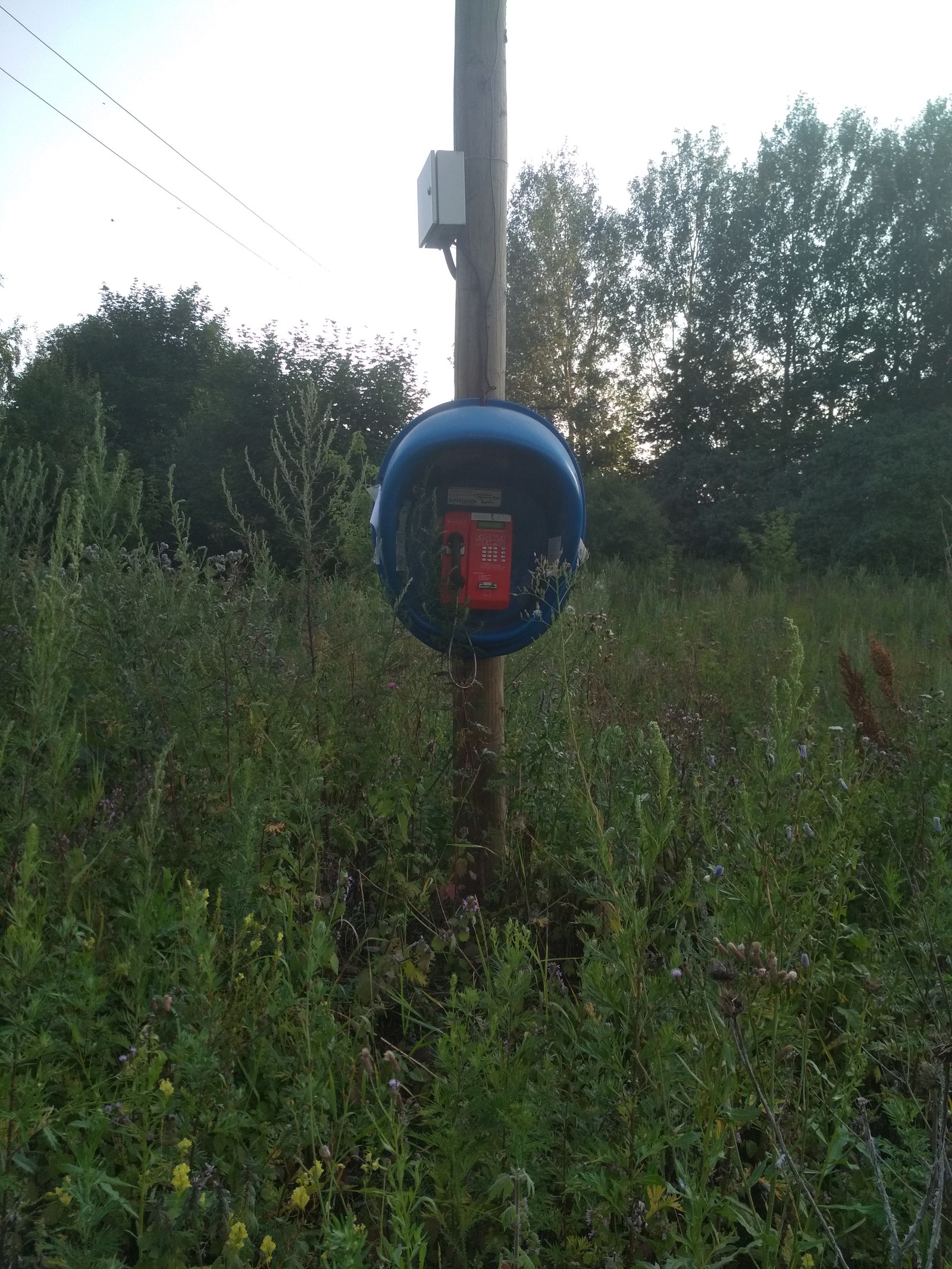 Таксофон в глуши. | Пикабу