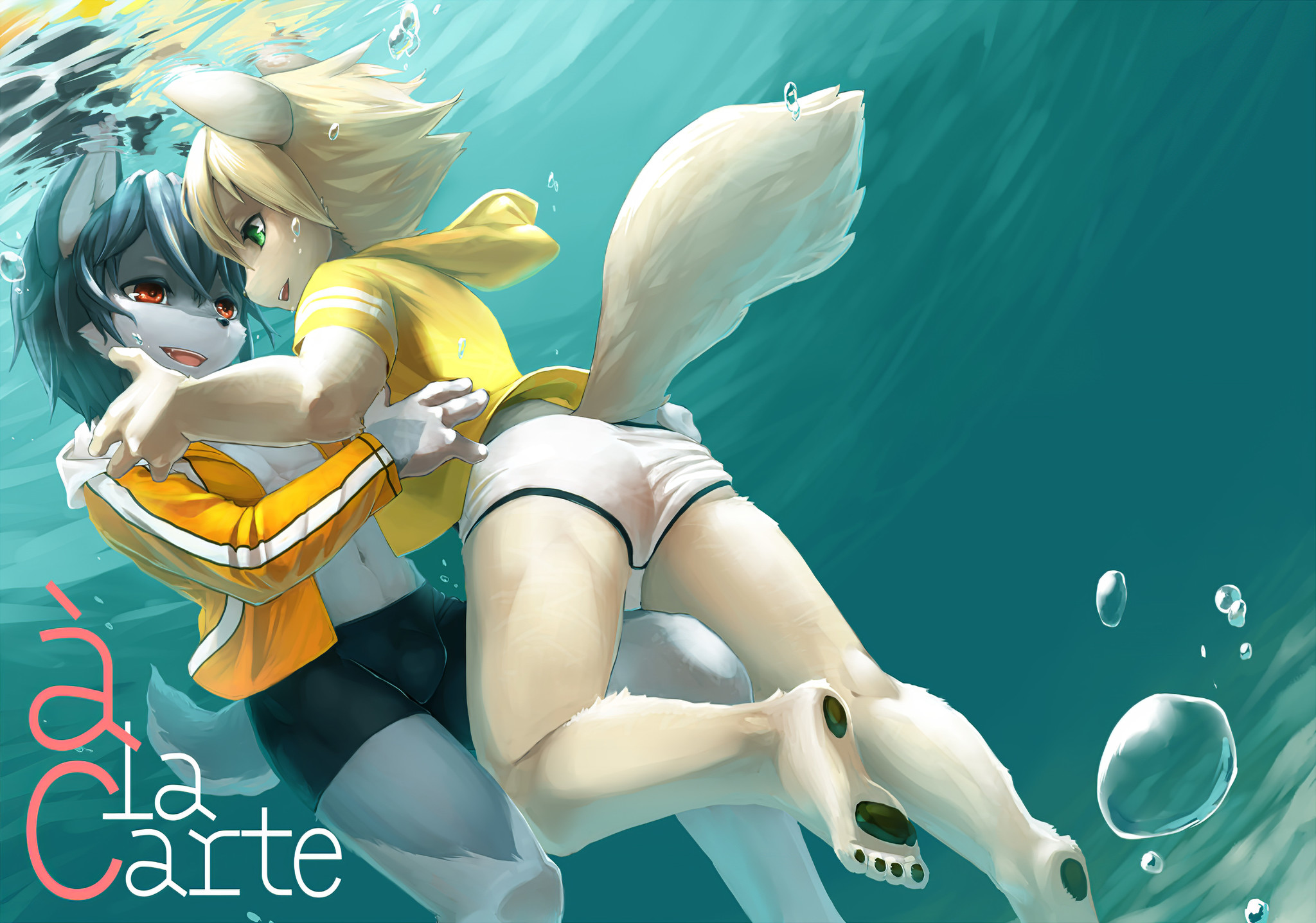 Furry gay. cat. 