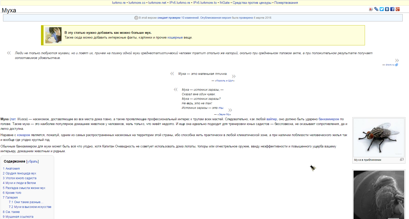 Что такое муха??? | Пикабу