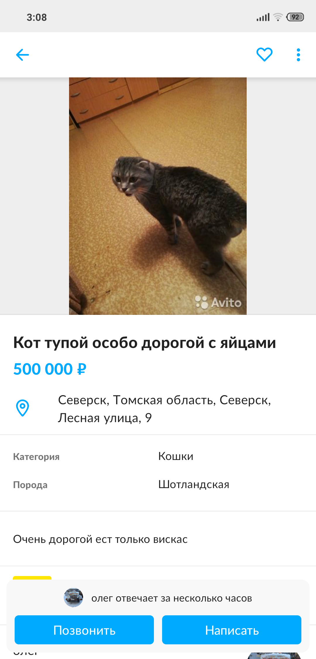 Авито. Объявления | Пикабу