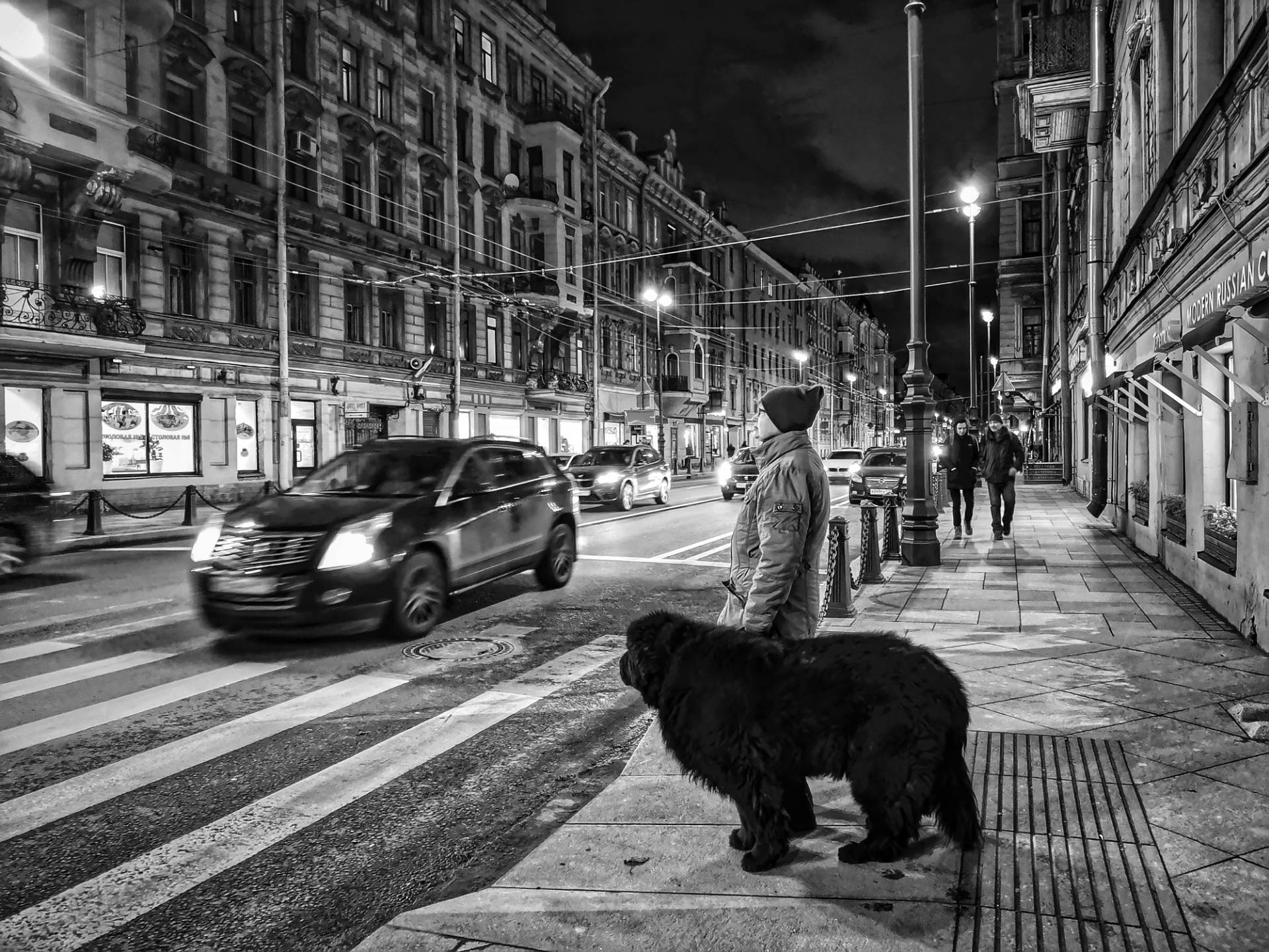 Black спб. ДДТ. Черный пес Петербург. 1993 - Черный пес Петербург. ДДТ чёрный пёс Петербург Vol. 2. Черный пес Петербург обложка.