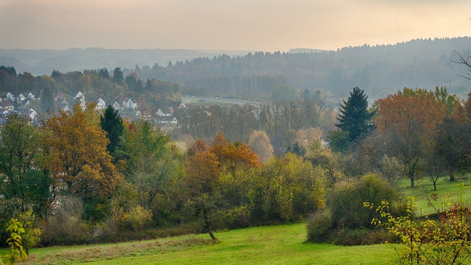 16 ноября, умеренно континентальный климат | Пикабу