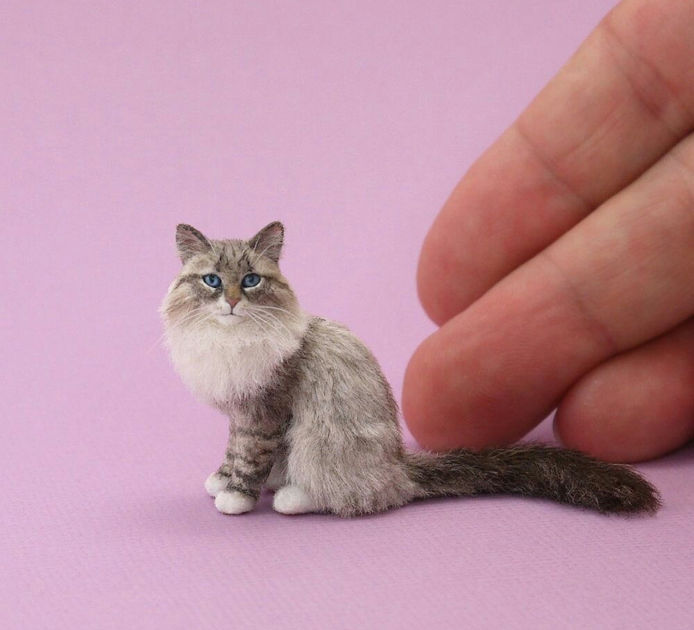 Котики миниатюра