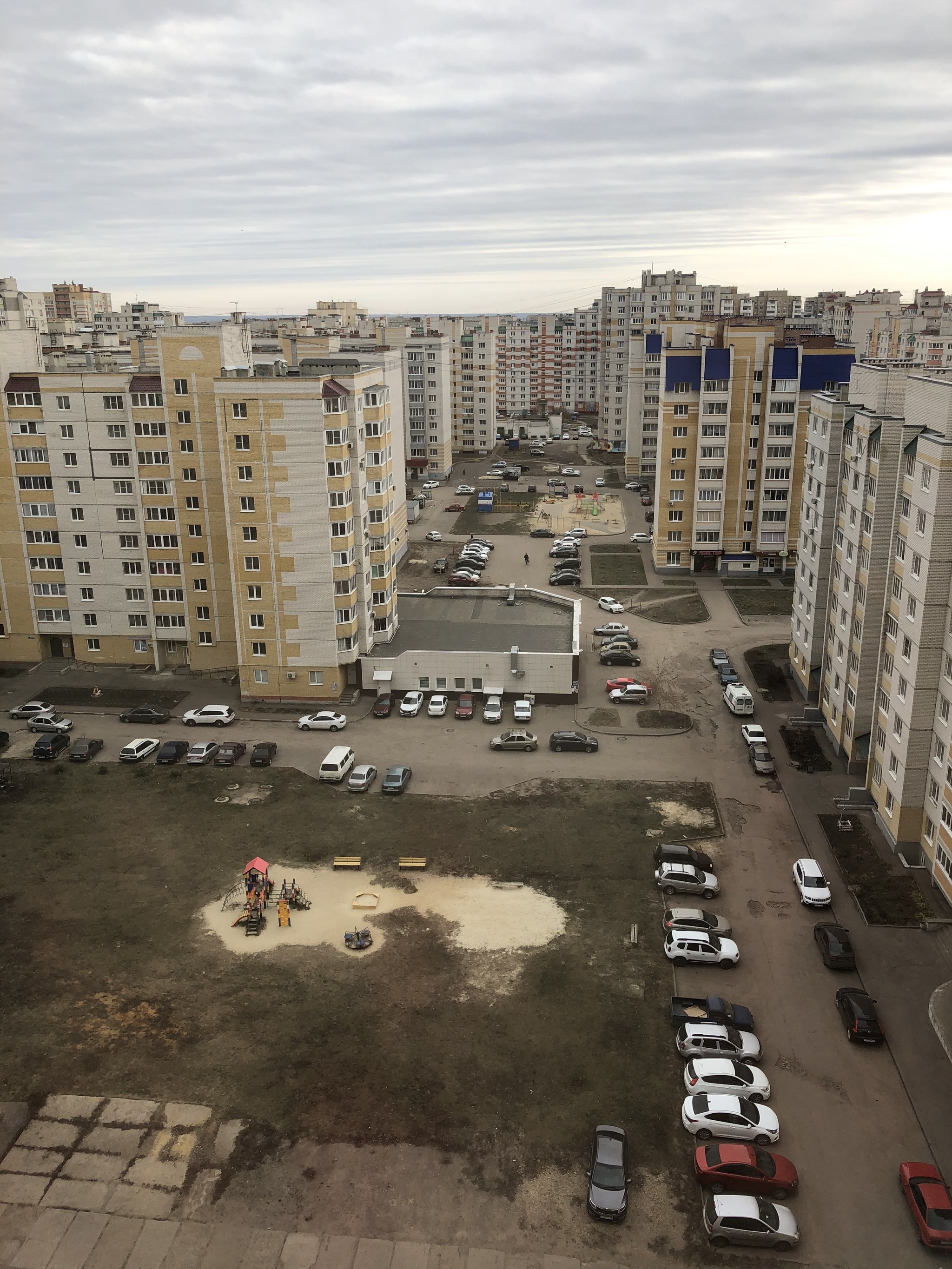 Каменные джунгли | Пикабу