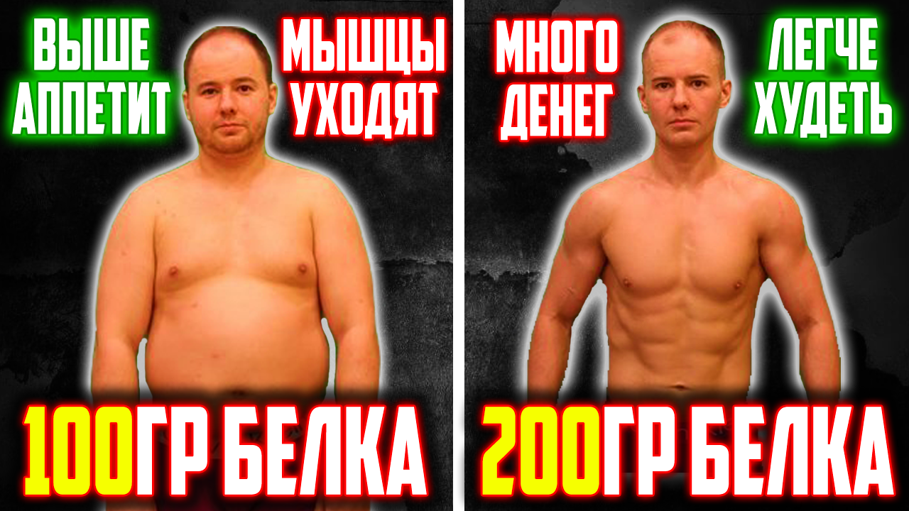 Низкая VS высокобелковая диета: ЧТО ЛУЧШЕ? | Пикабу