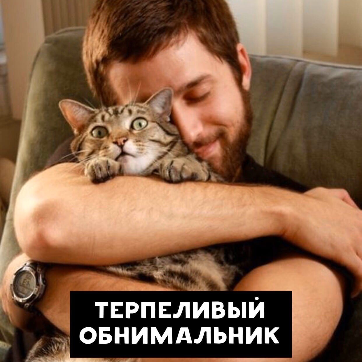 Включи человек и кот. Кот обнимает. Мужчина обнимает кота. Человек обнимает. Кот обнимает человека.