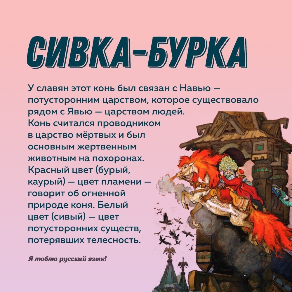 Что хотел сказать автор: смысл «Сказки о рыбаке и рыбке» Пушкина