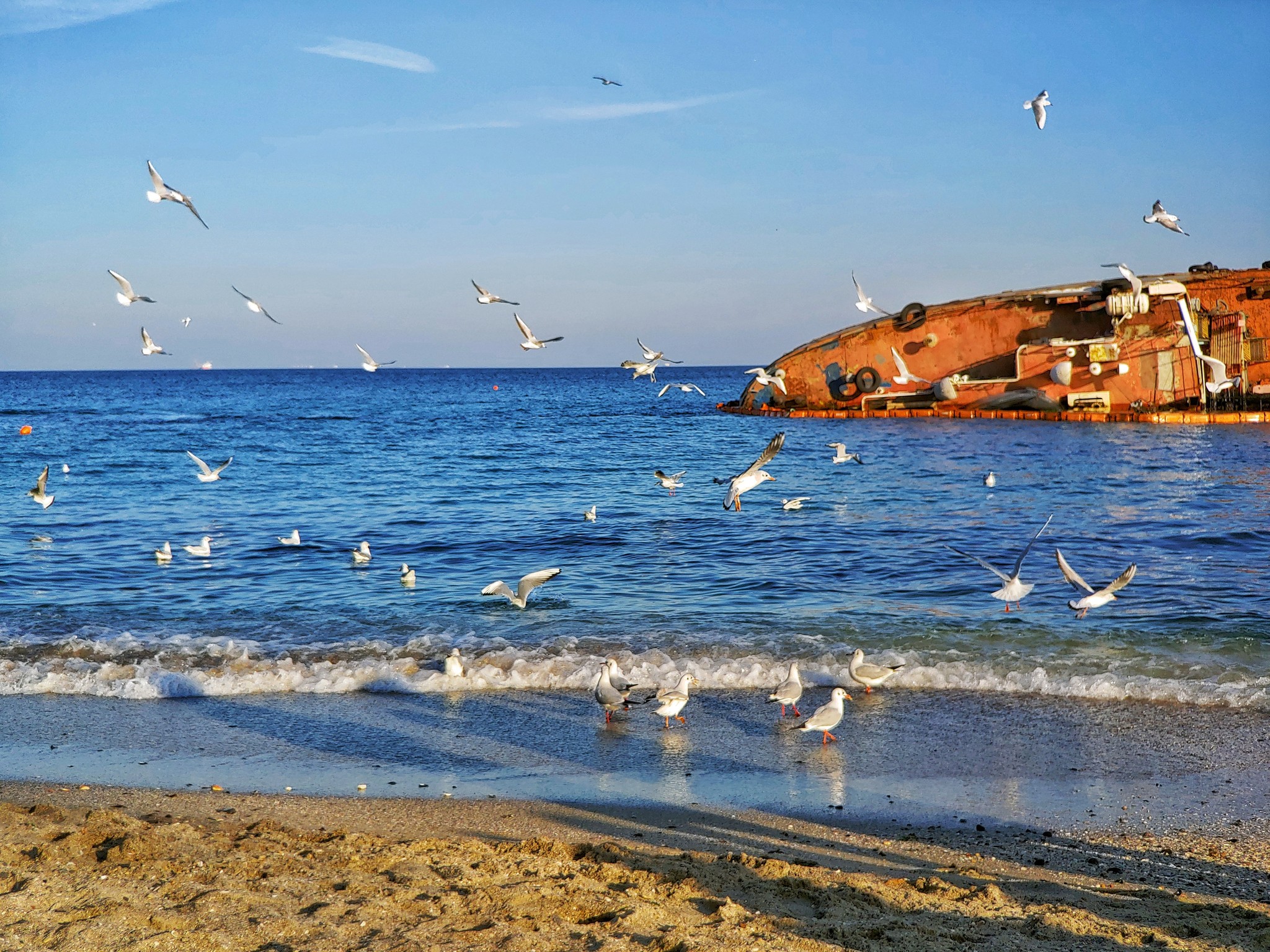 побережье черного моря одесса